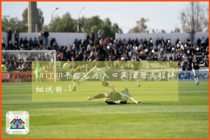 Kaiyun平台官方入口及注册流程详细说明_1